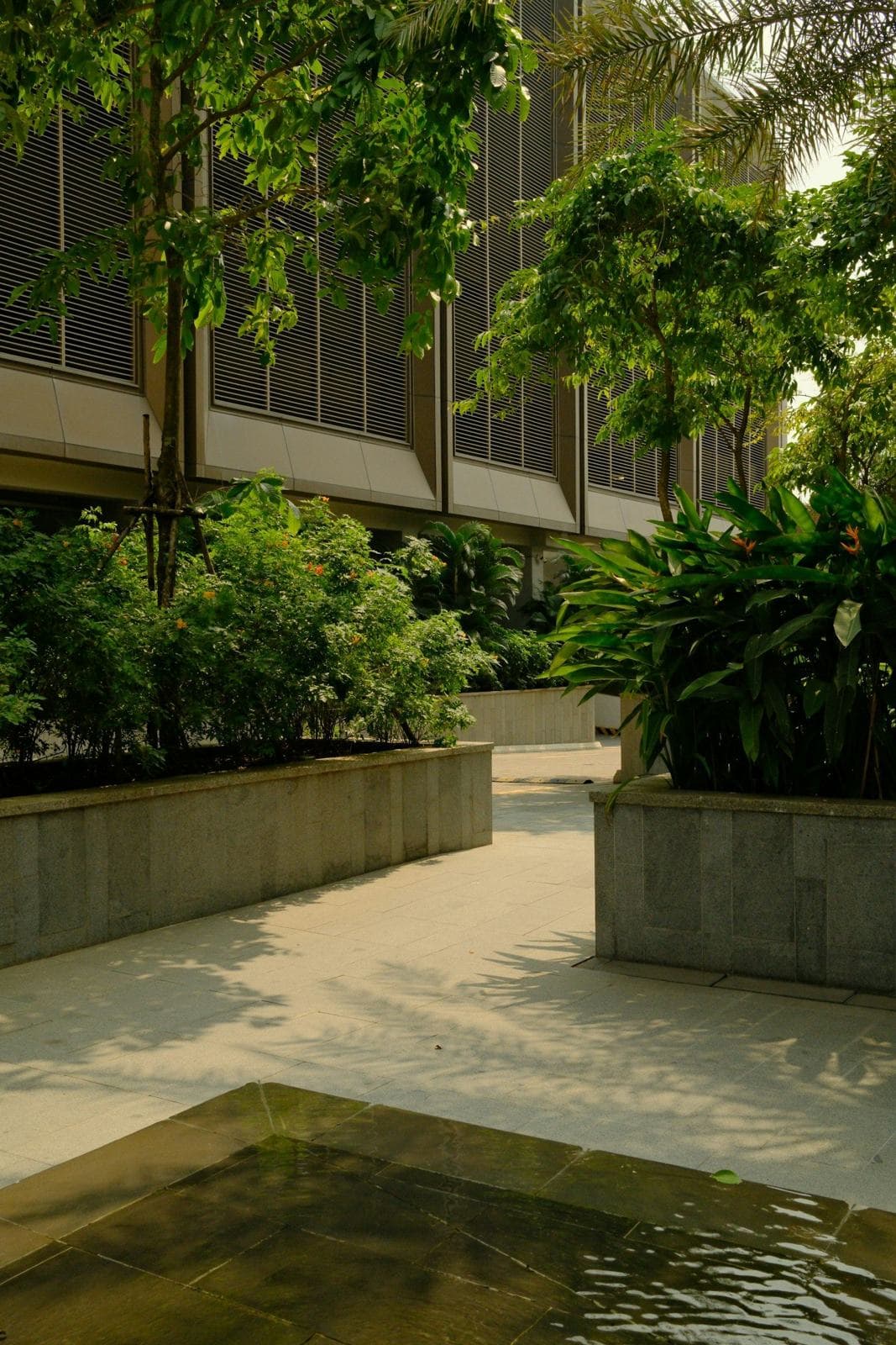 Oasis gallery — image 2