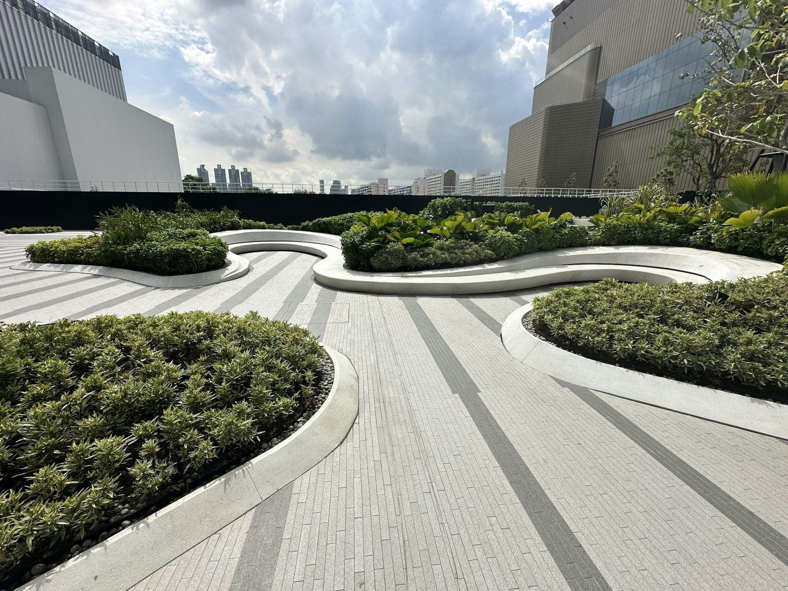 Oasis gallery — image 4