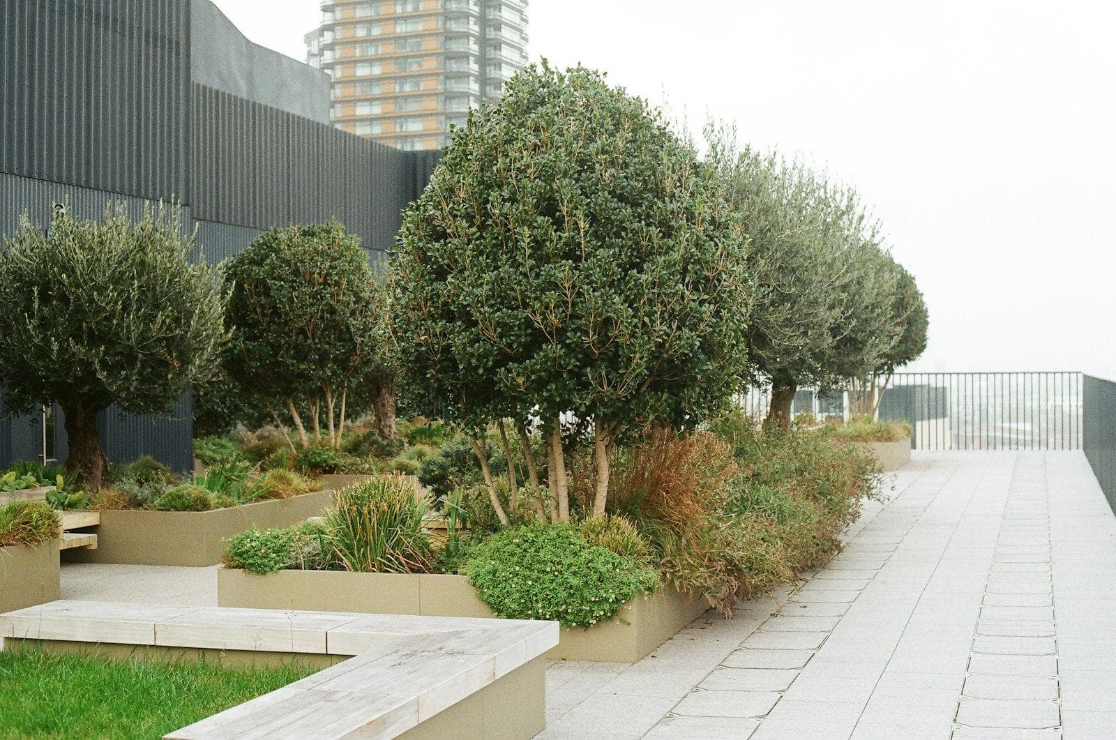 Oasis gallery — image 24