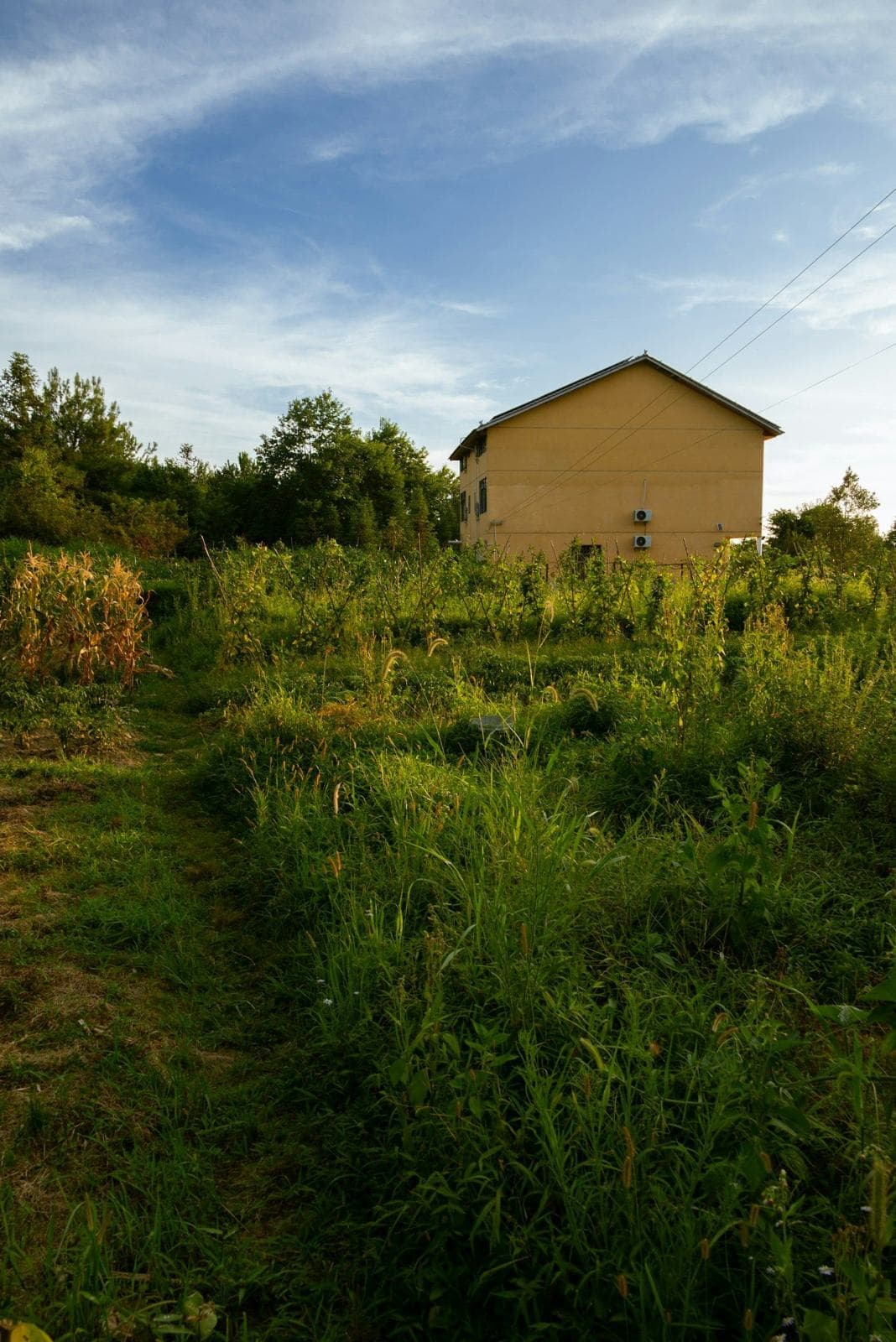 Oasis gallery — image 15