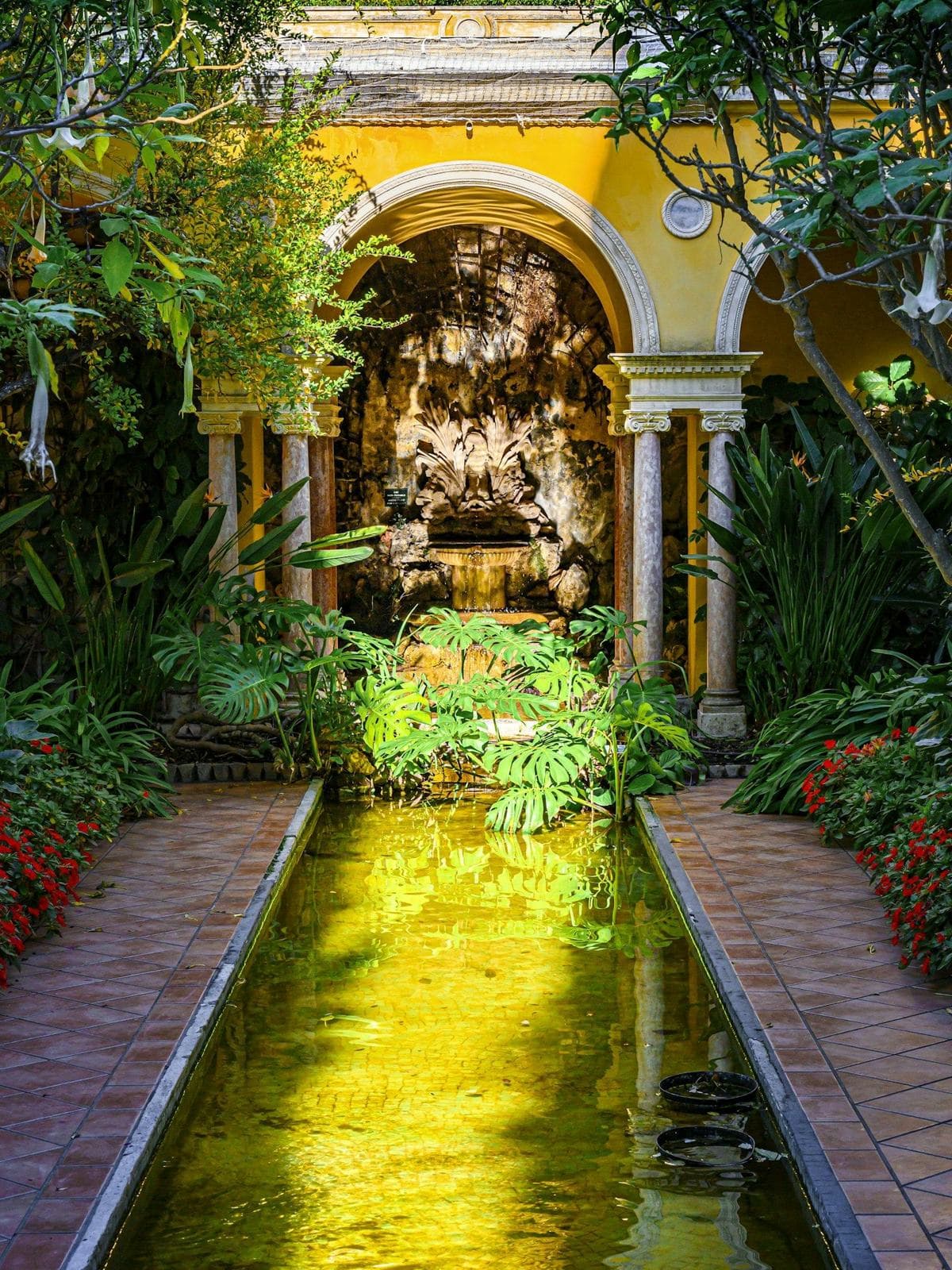 Oasis gallery — image 33
