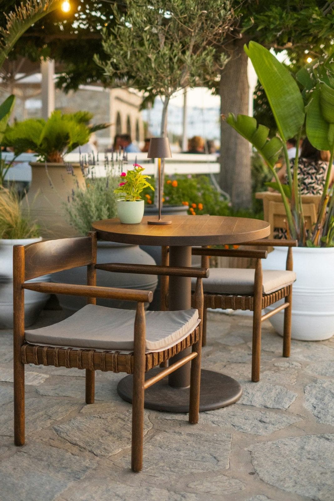 Oasis gallery — image 36
