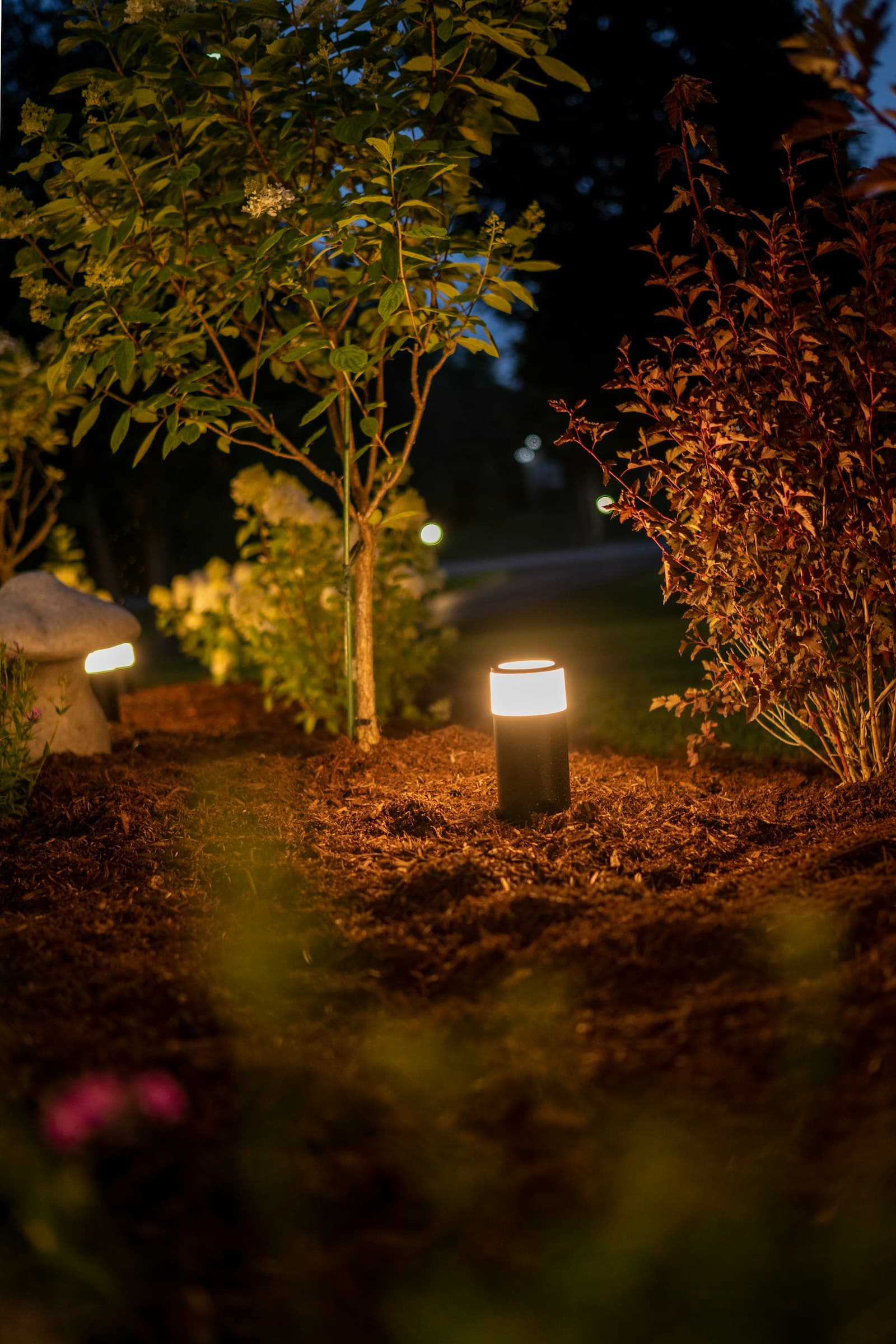 Garden Lighting