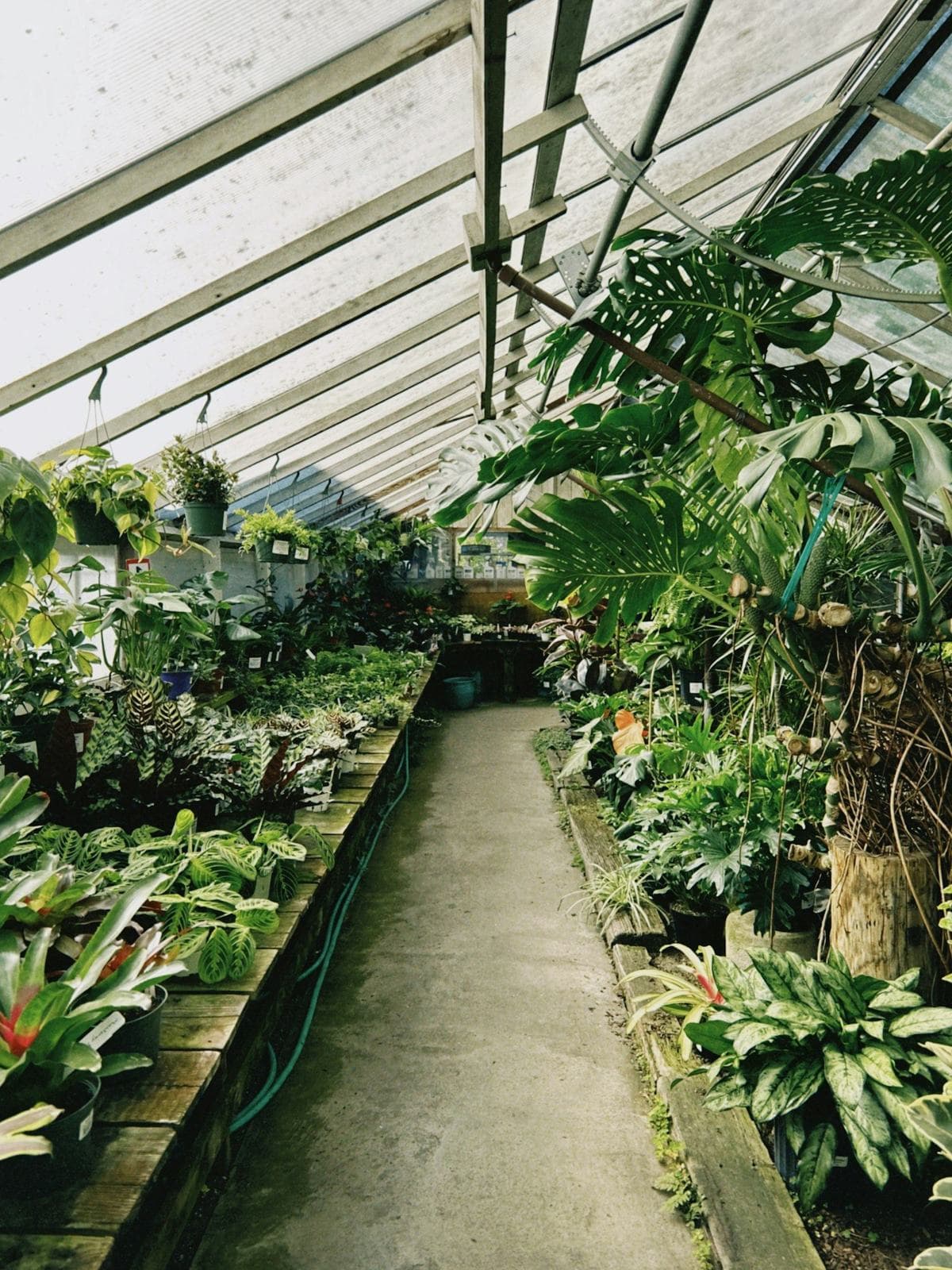 Nationwide Plant Delivery